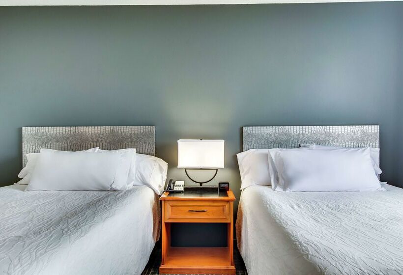 בית מלון כפרי Hilton Garden Inn Louisville Airport