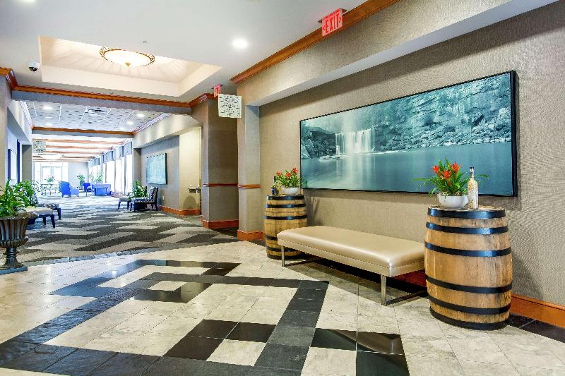בית מלון כפרי Hilton Garden Inn Louisville Airport