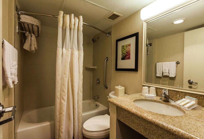 هتل Hilton Garden Inn Phoenix Midtown