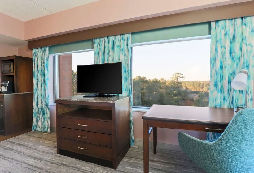 هتل Hilton Garden Inn Raleigh Durham/research Triangle Park