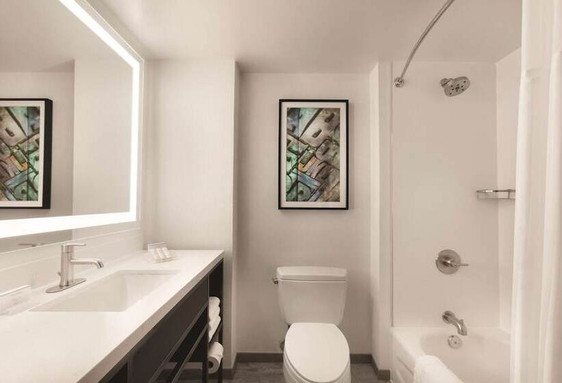 酒店 Hilton Garden Inn Washington Dc Downtown