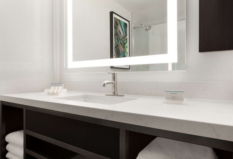 酒店 Hilton Garden Inn Washington Dc Downtown