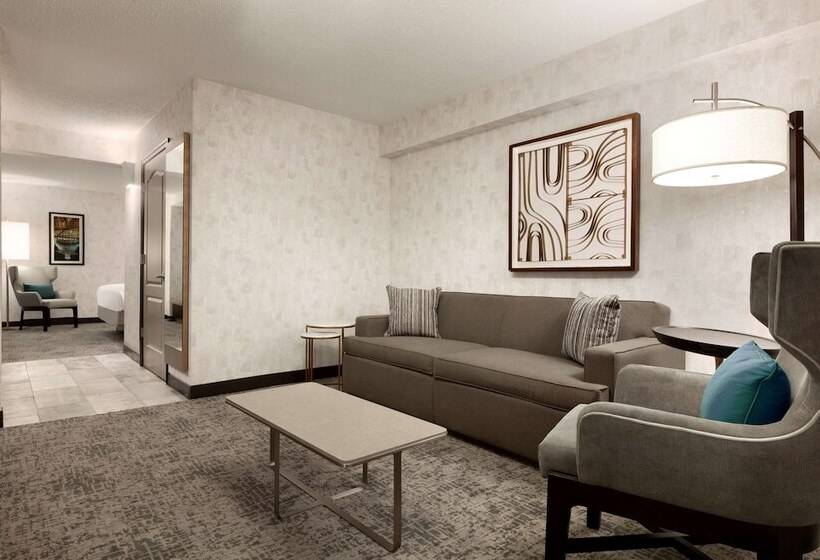 酒店 Hilton Garden Inn Washington Dc Downtown