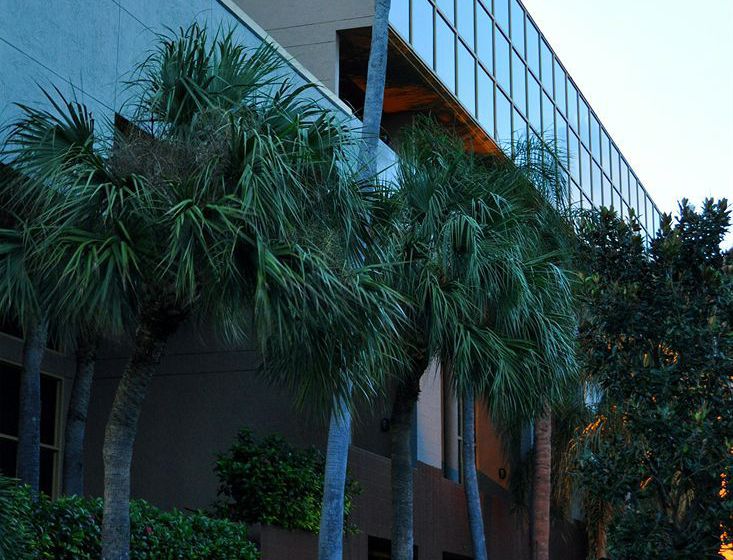 בית מלון כפרי Sawgrass Grand