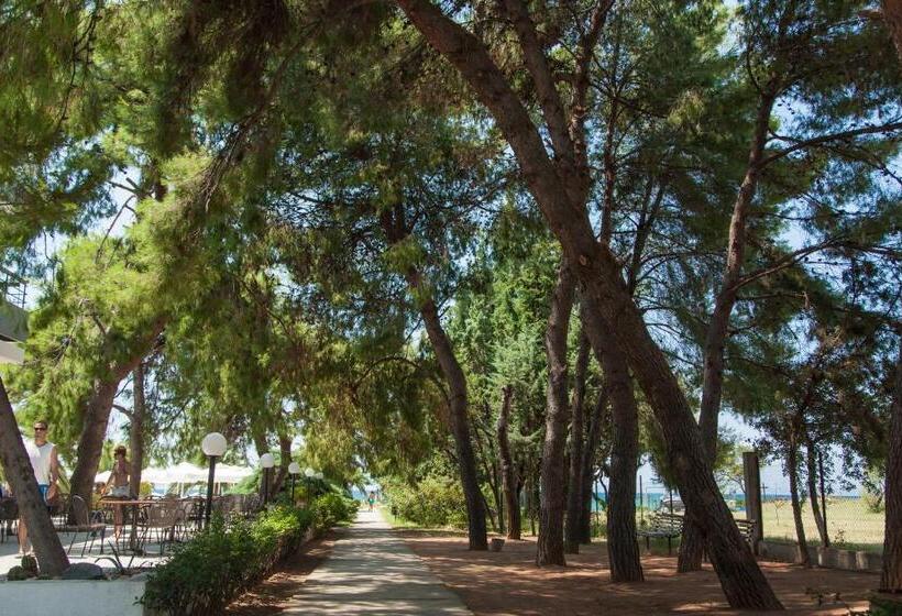 호텔 Kassandra Mare