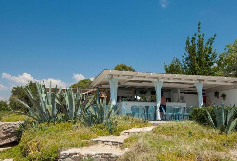 호텔 Kassandra Mare