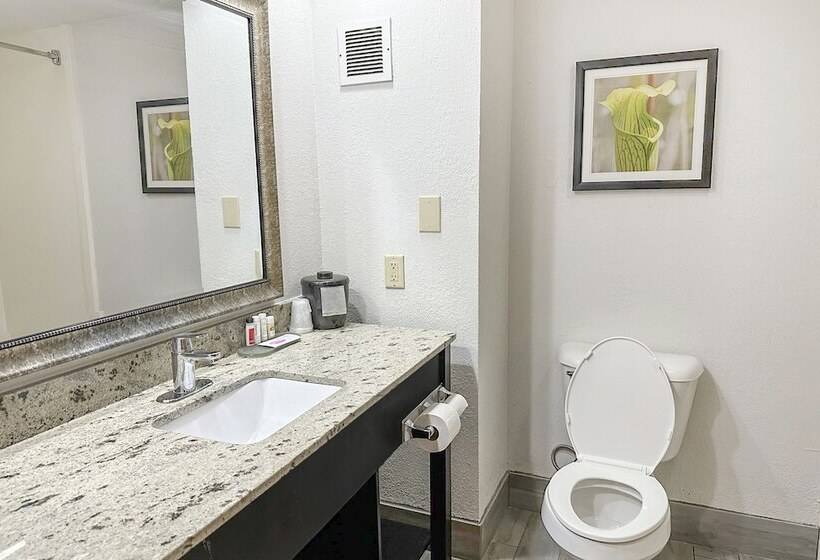 فندق La Quinta Inn & Suites By Wyndham Jackson North