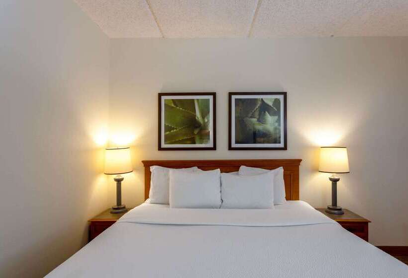 فندق La Quinta Inn & Suites By Wyndham Jacksonville Mandarin