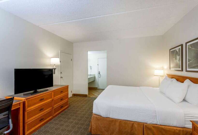 فندق La Quinta Inn & Suites By Wyndham Jacksonville Mandarin