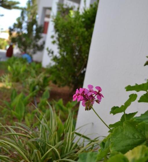 Отель Palladion