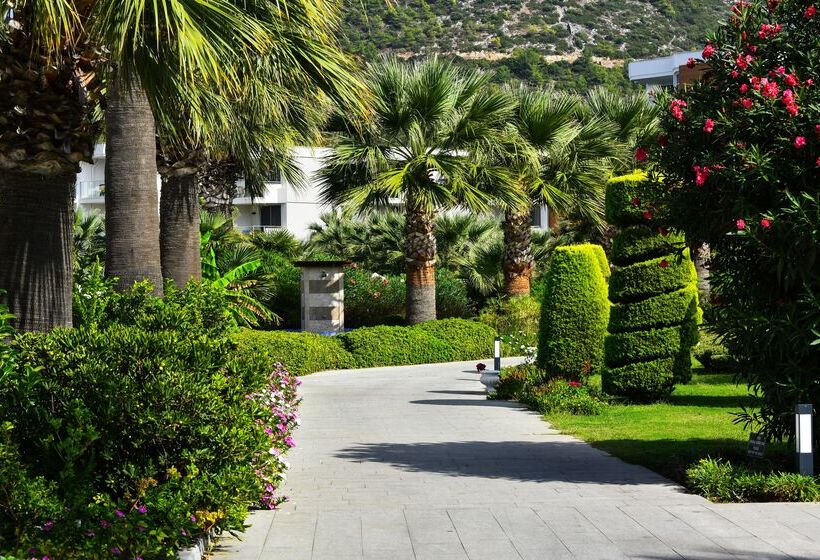 Отель Palm Wings Ephesus Beach Resort