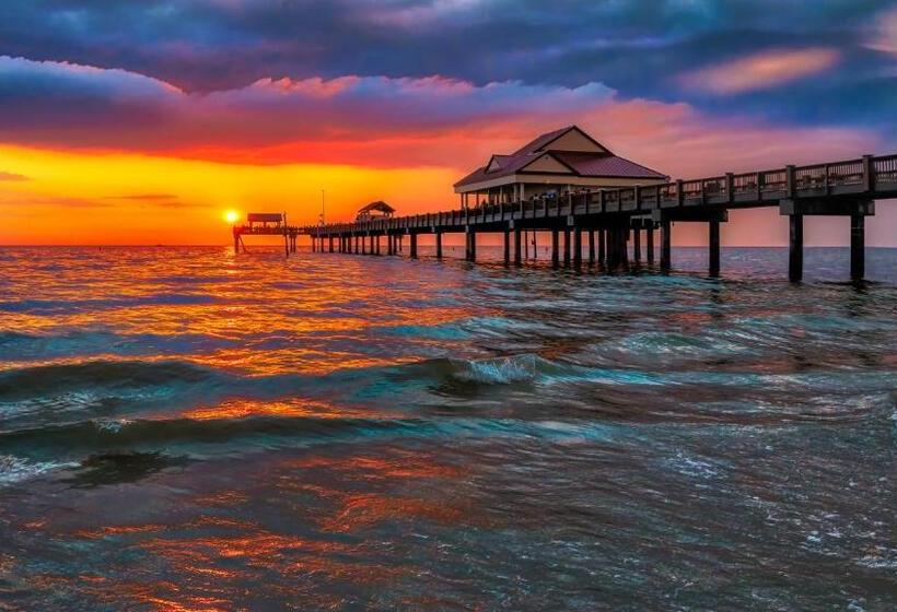 فندق Pelican Point On Clearwater Beach