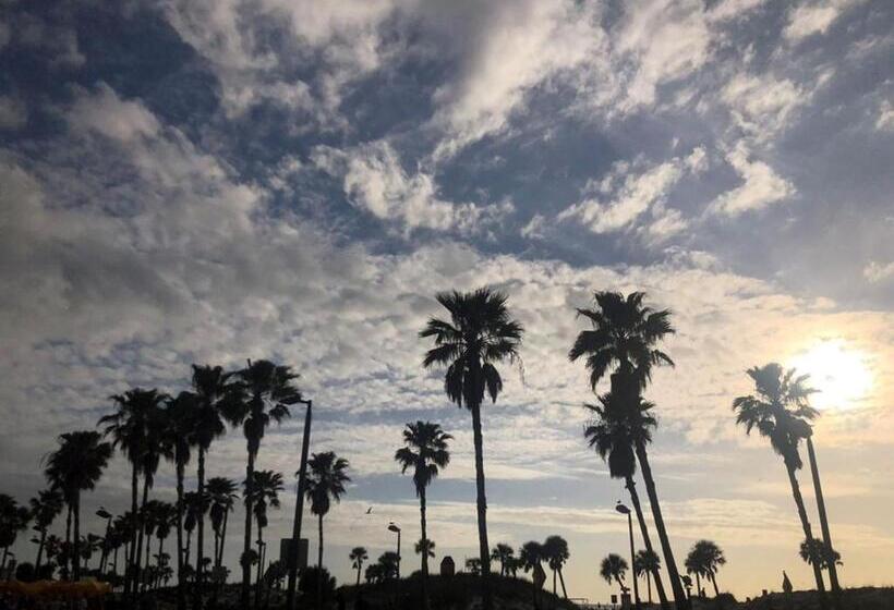 فندق Pelican Point On Clearwater Beach