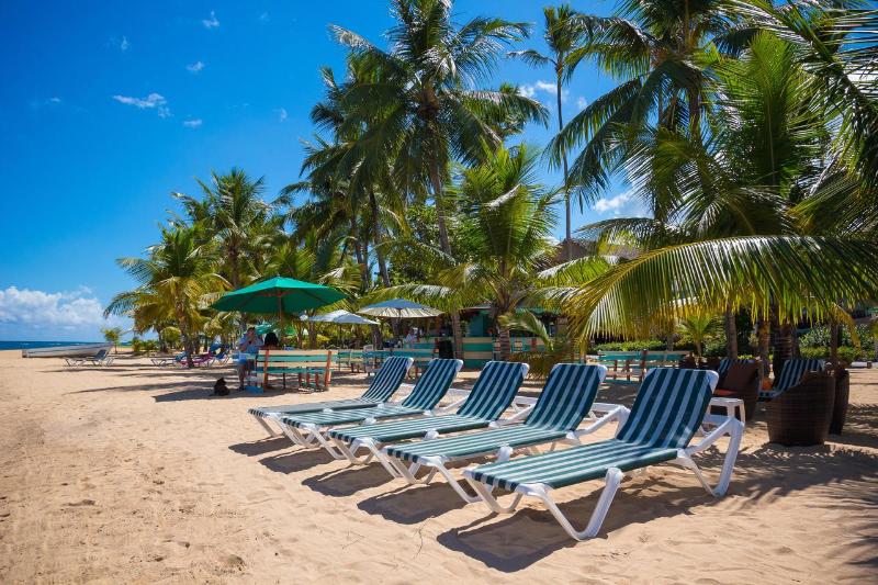 בית מלון כפרי Playa Colibri