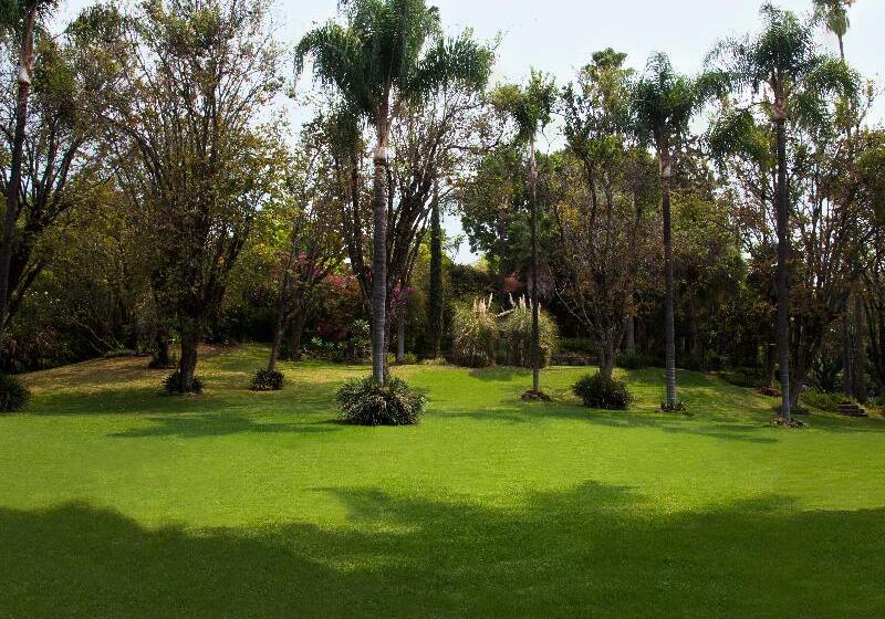 酒店 Racquet Cuernavaca