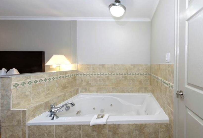 酒店 Red Roof Inn Arlington   Entertainment District