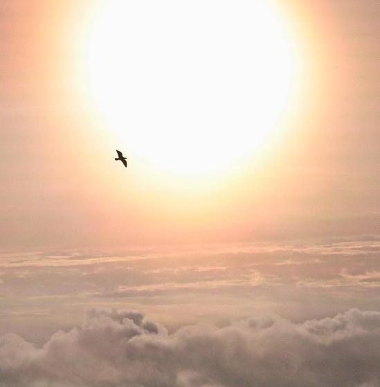 בית מלון כפרי Sea Breeze Bed And Breakfast