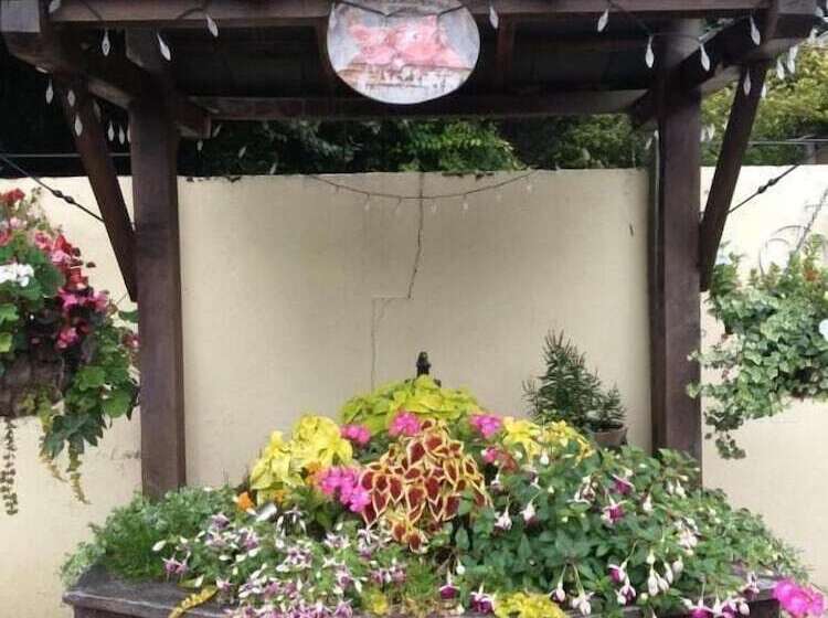 Отель The Copley Arms