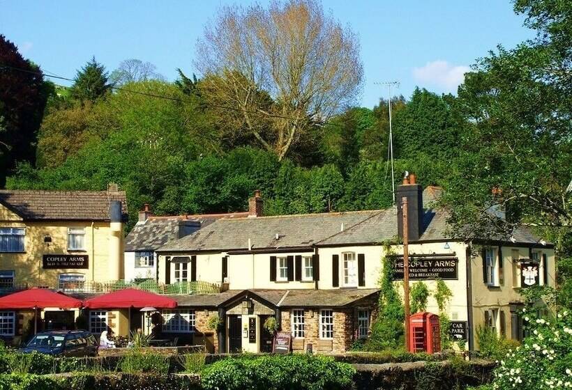 Отель The Copley Arms