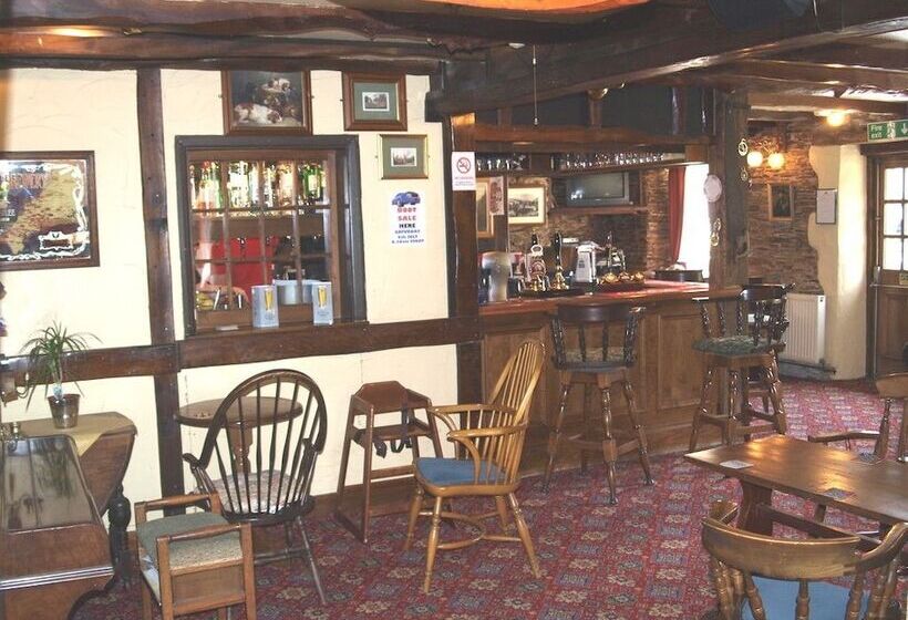 Отель The Copley Arms