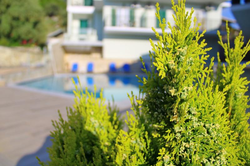 בית מלון כפרי Vergina Star