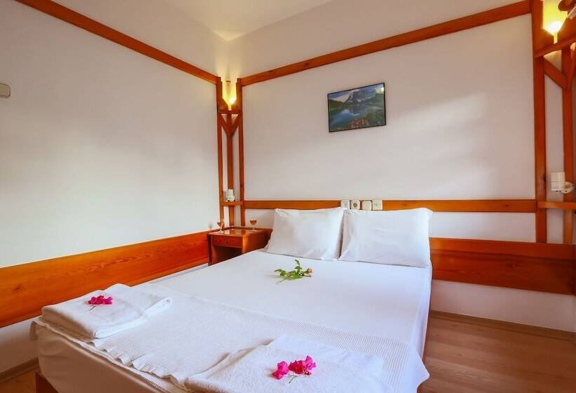 ホテル Villa Onemli