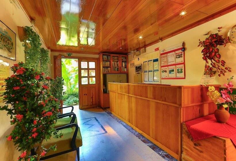 ホテル Villa Onemli