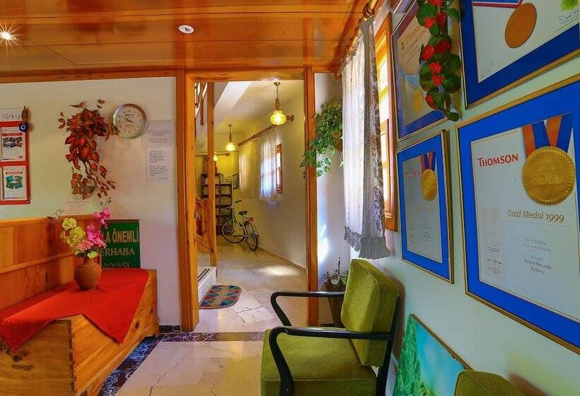 ホテル Villa Onemli