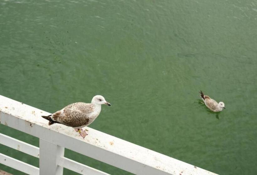 فندق Willa Albatros Happy Hours