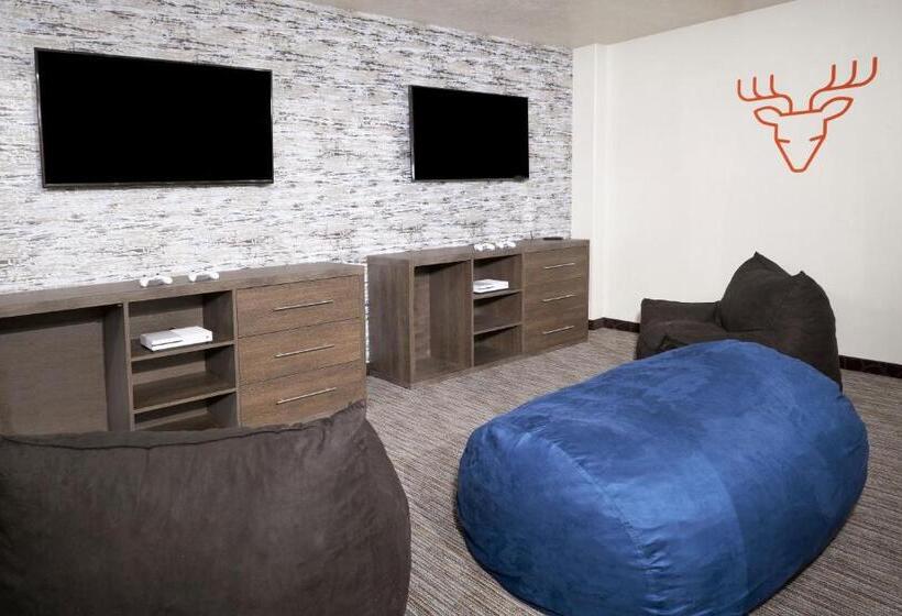 בית מלון כפרי Yellowstone Park