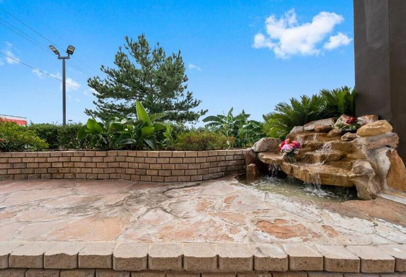 모텔 Executive Inn & Suites Magnolia