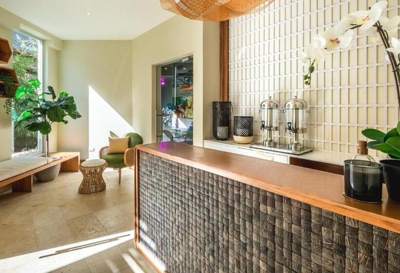 リゾートホテル Sunscape Coco Punta Cana - All Inclusive