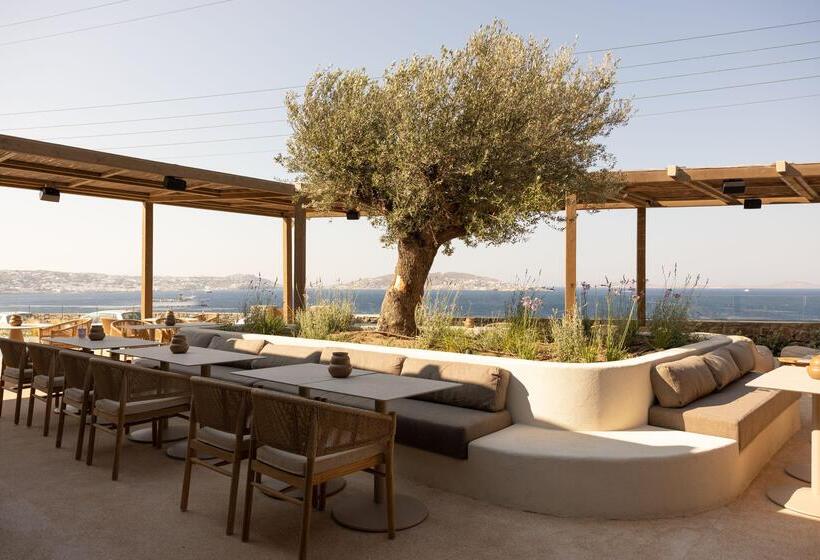 استراحتگاه Suntouch Suites