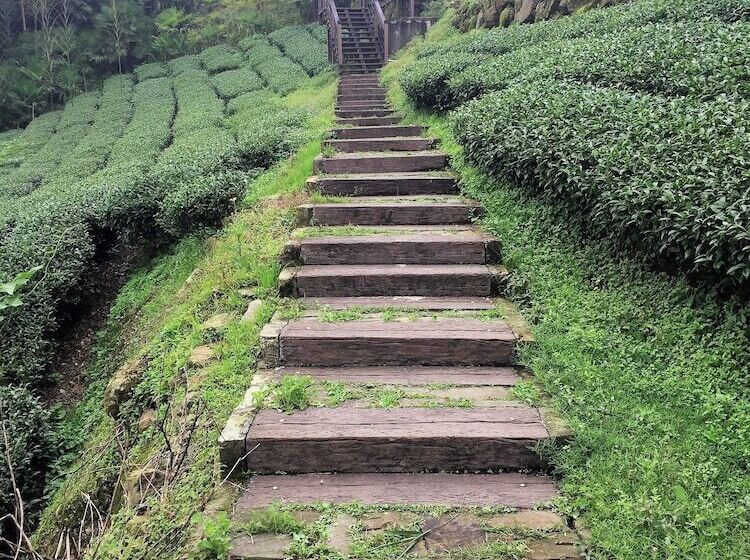 هتل Shan Ming Show B&b