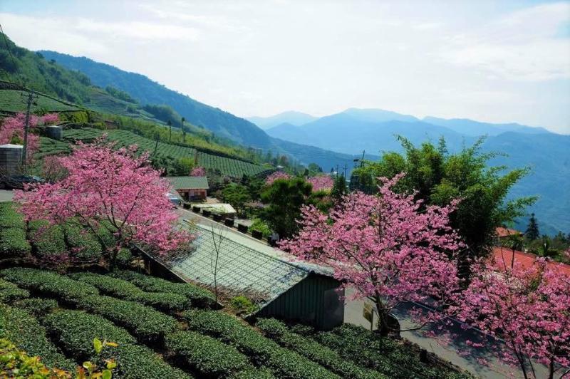 هتل Shan Ming Show B&b