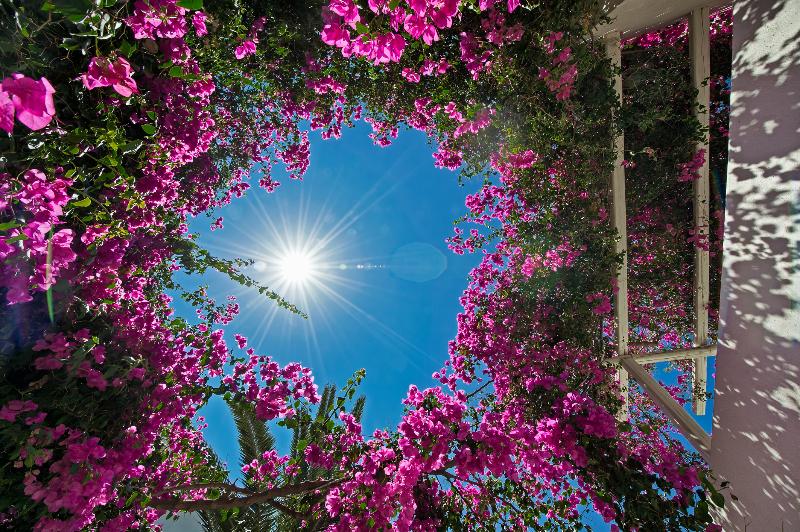 Atlantis Beach Villa