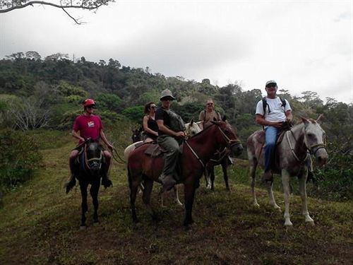 酒店 Copacabana  And Suites  Adults Only