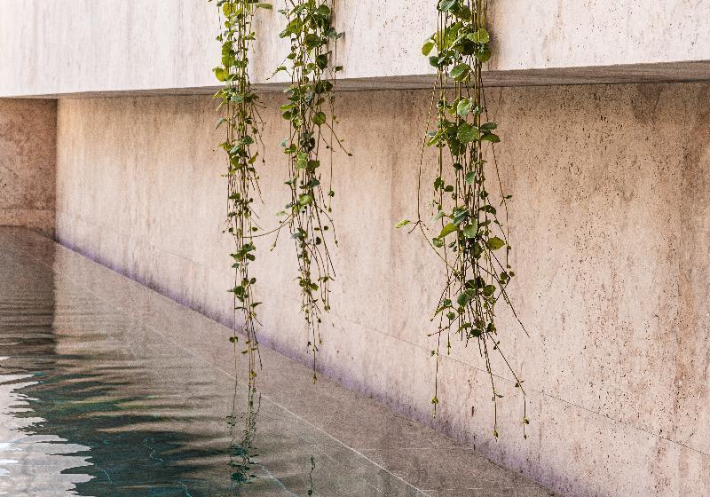 M Boutique Hotel   Designed For Adults