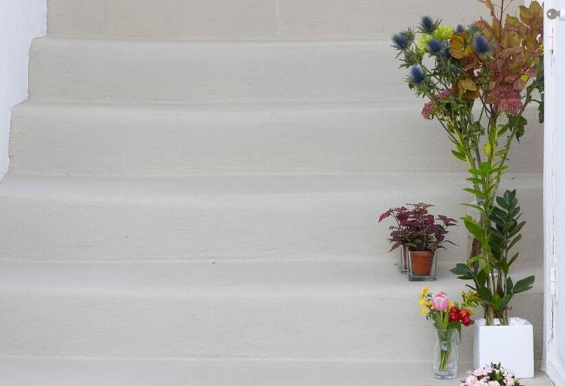 Отель Aria Lito Mansion