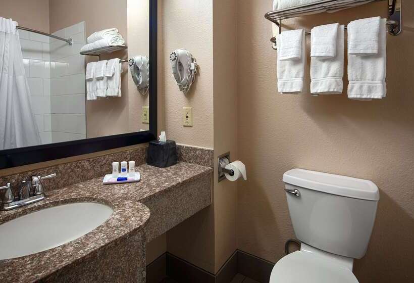 هتل Best Western Plus Kalamazoo Suites