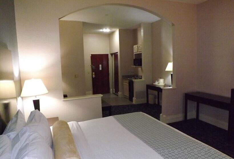 호텔 Best Western Plus Kalamazoo Suites