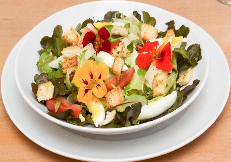 ホテル Bristol Upper Curitiba Alto Da Xv