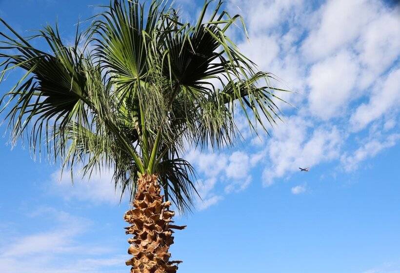 ホテル Budget Inn