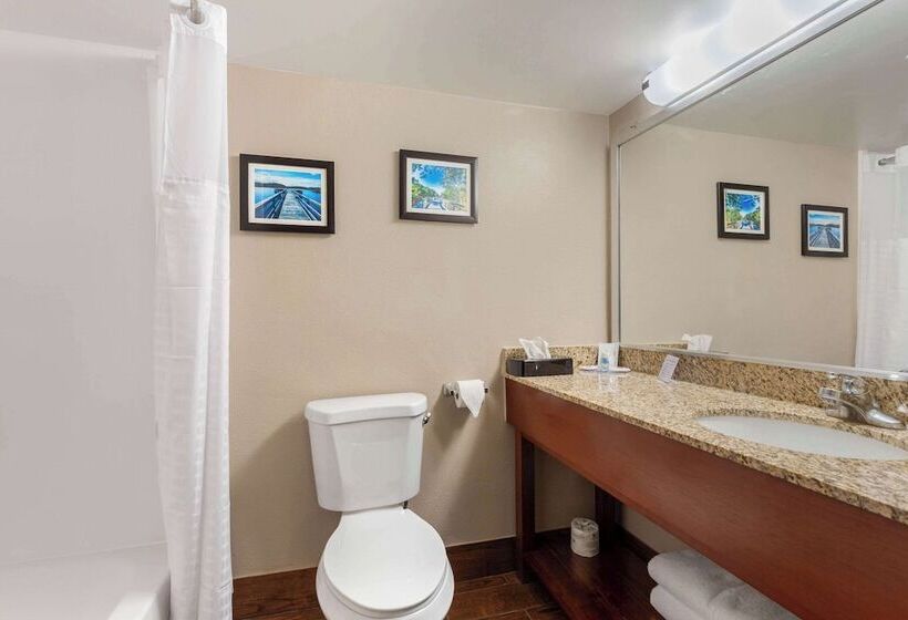 فندق Comfort Inn & Suites