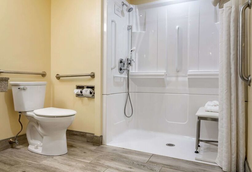 ホテル Comfort Inn University