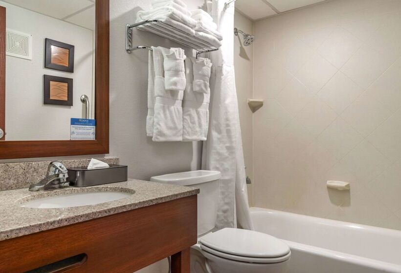 ホテル Comfort Inn University