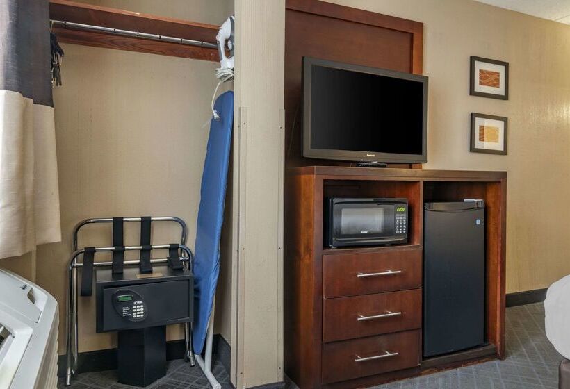 ホテル Comfort Inn University