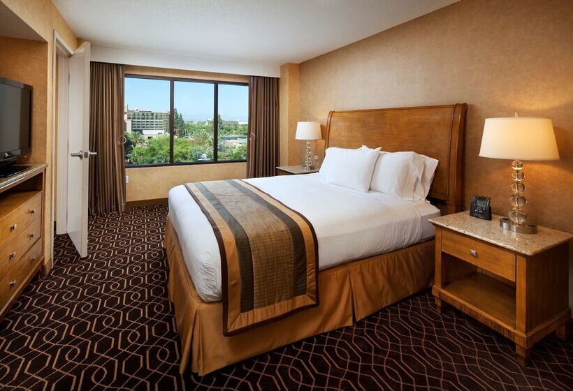 בית מלון כפרי Doubletree Suites By Hilton Anaheim Rsrt   Conv Cntr