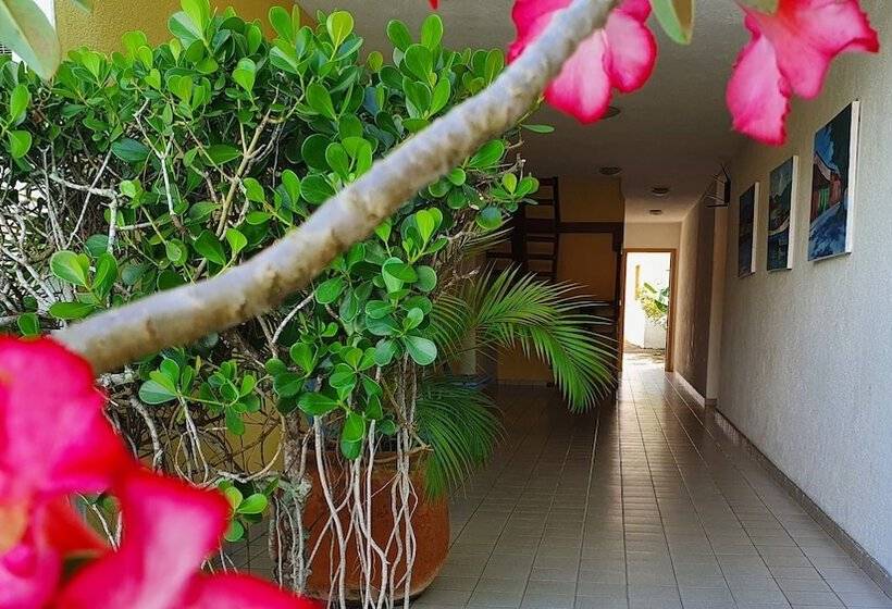 ホテル Estalagem Porto Seguro