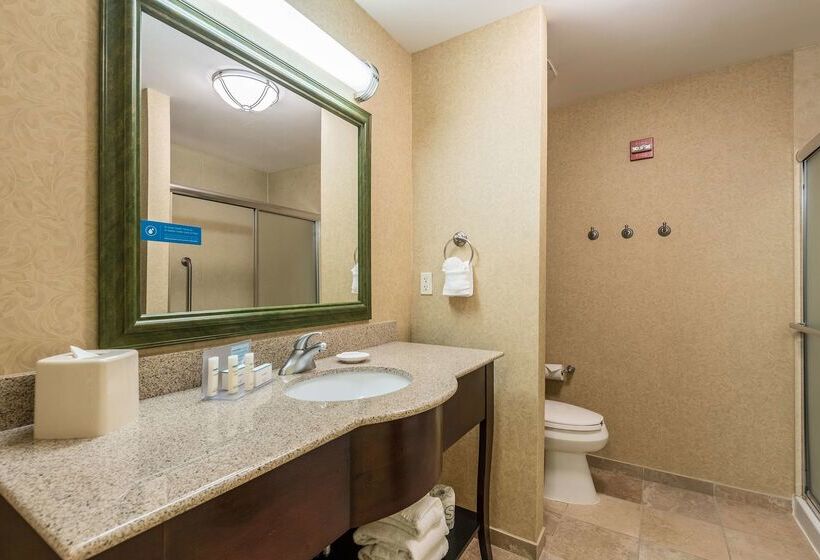 Отель Hampton Inn & Suites Orlando South Lake Buena Vista